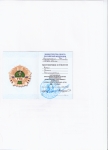 бронзовый знак отличия гто 2019 г